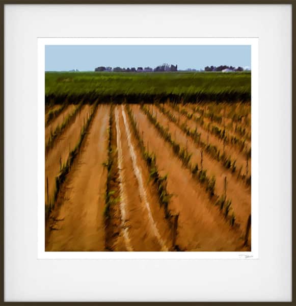 Niagara Vineyard Series  H