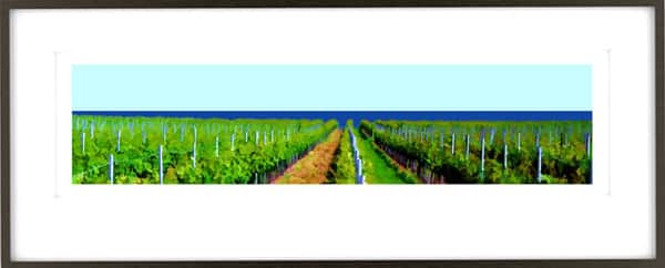 Niagara Vineyard Series N