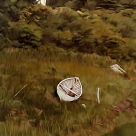 Washed-Ashore-At-Rose-Bay