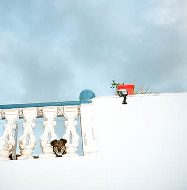 Jonathan Forsythe Untitled